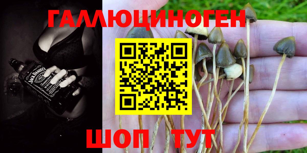 Псилоцибиновые грибы прущие грибы  Вход с VPN  наркошоп  Новочебоксарск 
